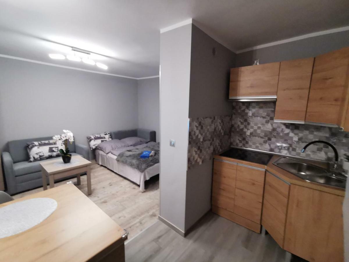 Apartament Gorska 8 - Blisko Centrum Świeradów-Zdrój エクステリア 写真
