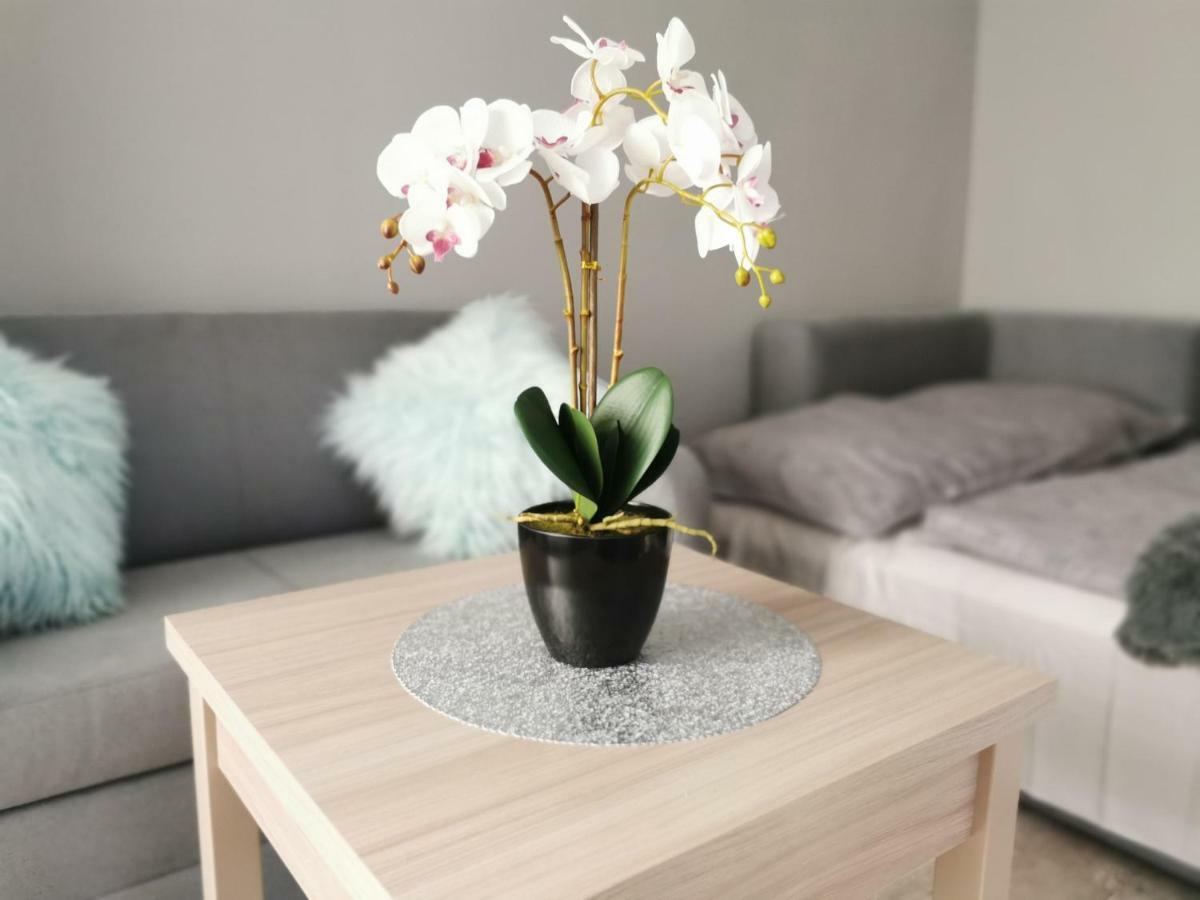Apartament Gorska 8 - Blisko Centrum Świeradów-Zdrój エクステリア 写真